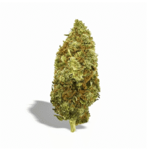 THCP Blüten Amnesia Haze 040 - 10% THCP