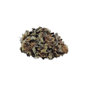 Wild Berry CBD Blüten Indoor