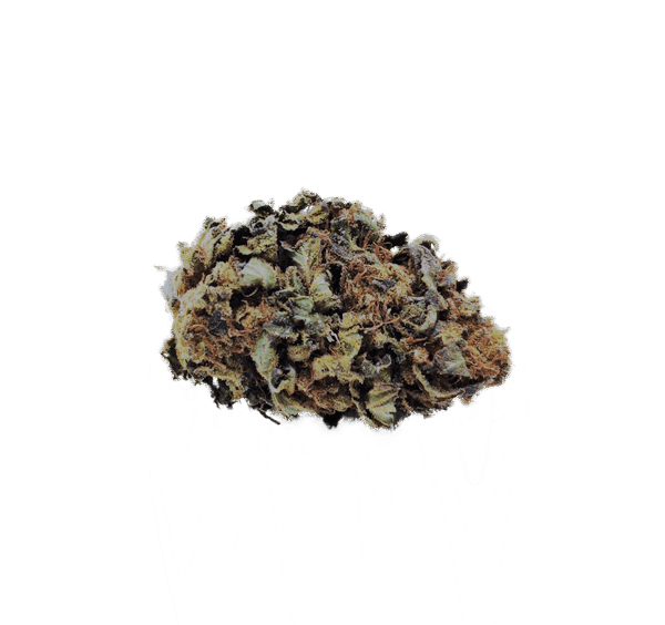 Wild Berry CBD Blüten Indoor