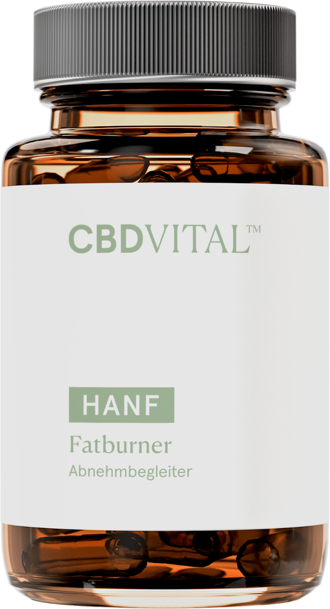 Hanf Fatburner 1 Hanf Fatburner