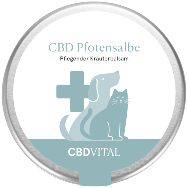 CBD Pfotensalbe