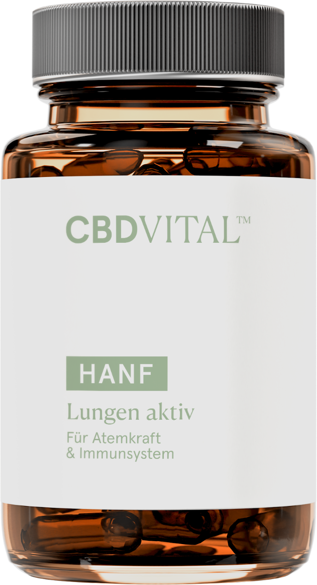 Hanf Lungen aktiv 1 Hanf Lungen aktiv