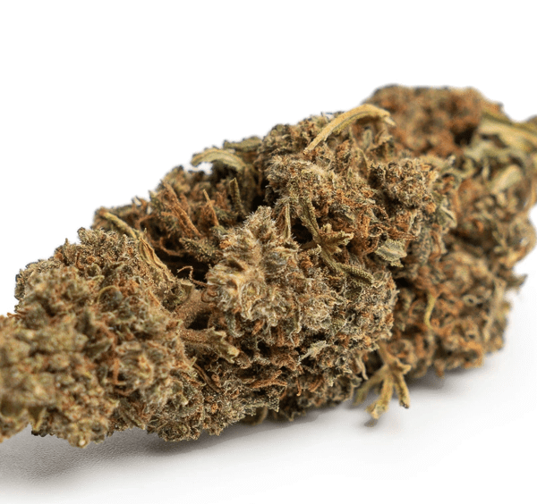 CBG Blüten 040 Special