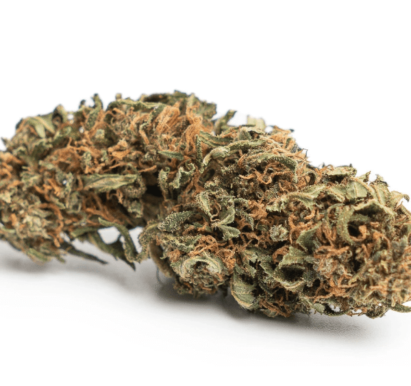 Cookies 'n' Cream CBD Blüten Indoor
