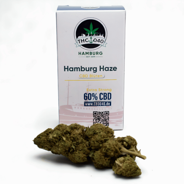 Hamburg Haze – CBD Blüten mit der Frische des Nordens