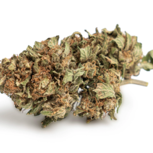 Reeperbahn Rose CBD Blüten Indoor