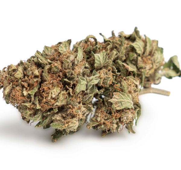 Reeperbahn Rose CBD Blüten Indoor